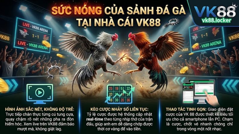 Trải nghiệm xem và cá cược đá gà trực tiếp mượt mà tại nhà cái VK88